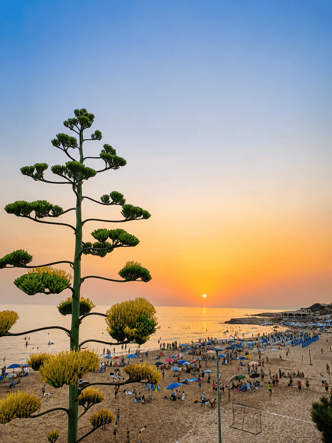Scende il sole